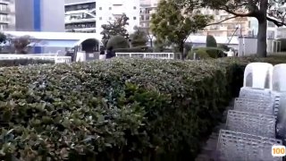 东阿阿胶股票5k约的软妹